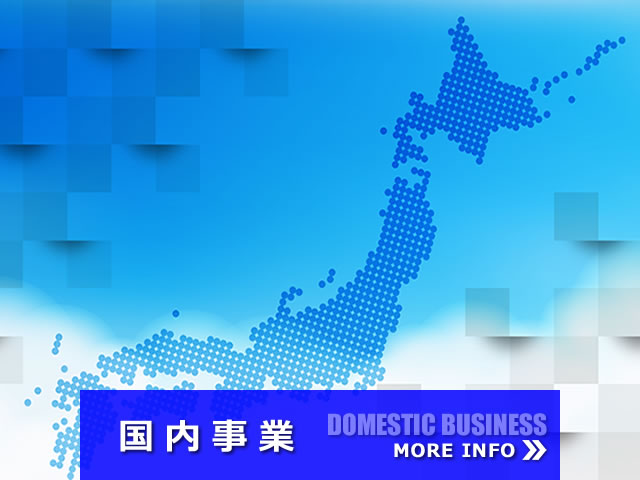 国内事業